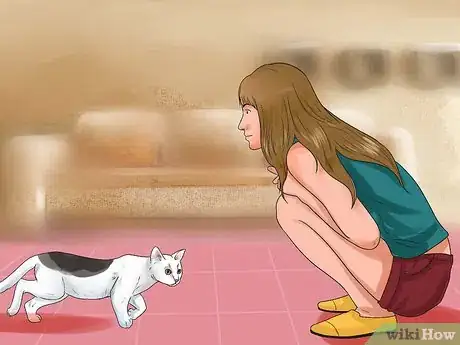 Image titled Get Your Cat to Stop Hissing Step 5