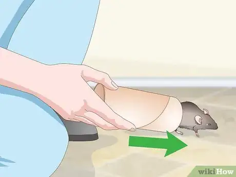 Image titled Pick Up a Pet Mouse Step 9