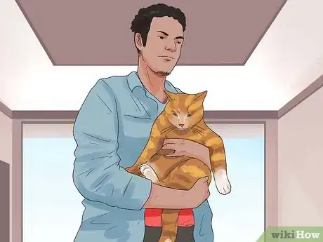 Image titled Get Your Cat to Stop Hissing Step 6