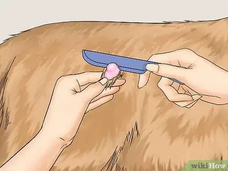 Image titled Remove Chewing Gum from a Dog's Hair Step 3