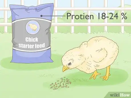 Image titled Start a Chicken Farm Step 19