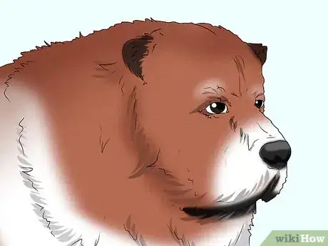 Image titled Identify a Caucasian Shepherd Dog Step 2