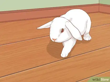 Image titled Raise a Lop Eared Rabbit As a Pet Step 15