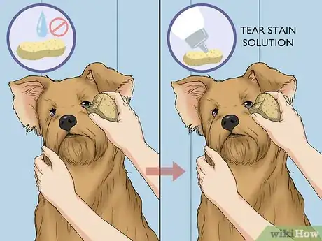 Image titled Wash a Dog's Face Step 11