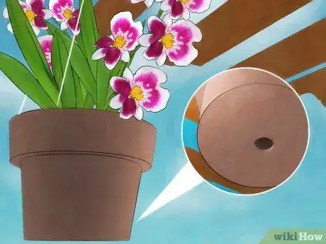 Image titled Grow Orchids Outside Step 8