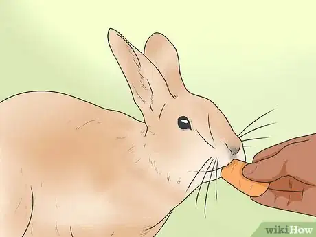 Image titled Feed Your Rabbit the Right Greens Step 3