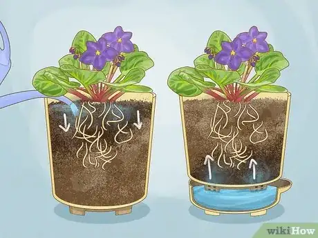 Image titled Use Self Watering Pots Step 9