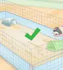Make a C and C Cage for a Guinea Pig