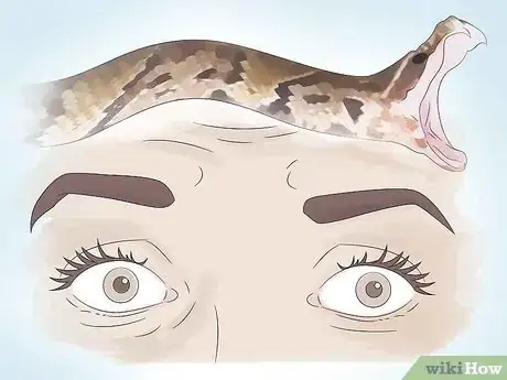 Image titled Get over Your Fear of Snakes Step 1