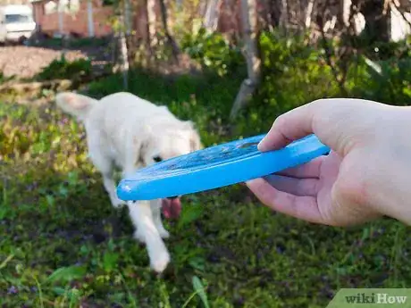 Image titled Teach a Dog How to Catch a Frisbee Step 8