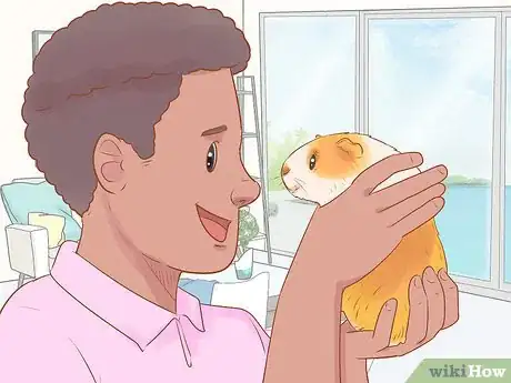 Image titled Bond With Your Guinea Pig Step 13