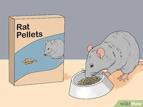 Image titled Treat Diarrhea in Rats Step 1