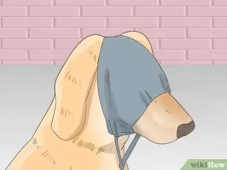 Image titled Reduce Anxiety in Dogs Step 10