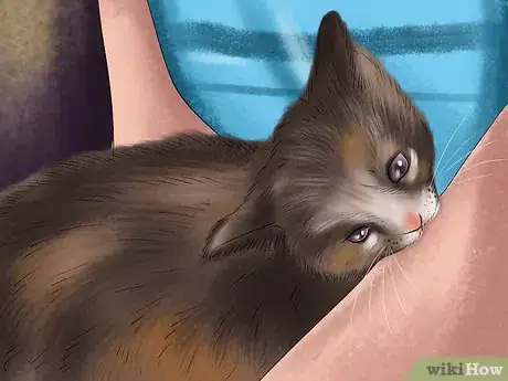 Image titled Know if a Kitten Is Stressed Step 8