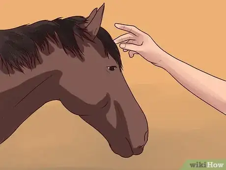 Image titled Dismount a Horse Step 1