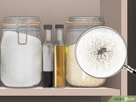 Image titled Get Rid of Pantry Bugs Step 1