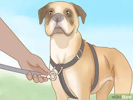 Image titled Put on a Dog Harness Step 17