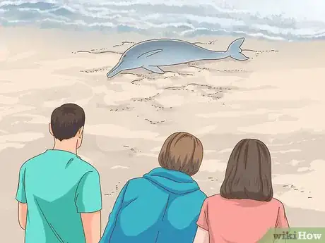 Image titled Save a Stranded Dolphin Step 10