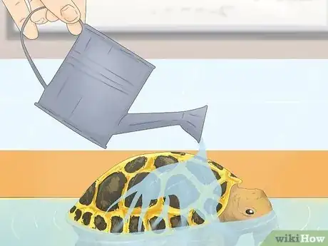 Image titled Bathe a Russian Tortoise Step 8