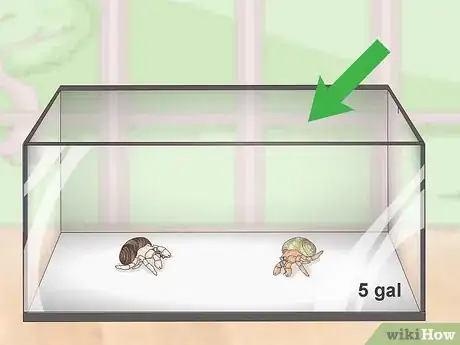 Image titled Create a Hermit Crab Habitat Step 1