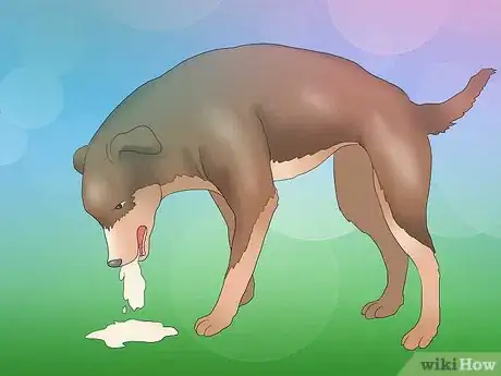 Image titled Recognize Kennel Cough in Dogs Step 3