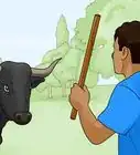 Avoid or Escape a Bull