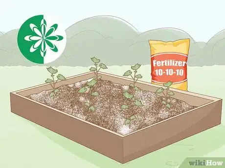 Image titled Grow Grapes from Seeds Step 10