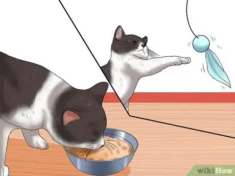 Image titled Encourage Your Cat to Go to Sleep Step 1