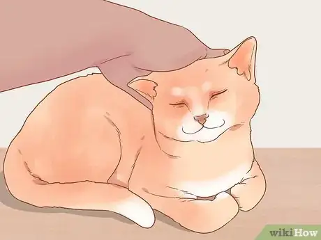 Image titled Stop Your Cat from Begging Step 8