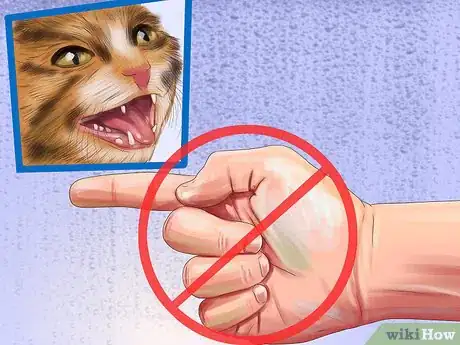 Image titled Understand the Cat's Meow Step 12