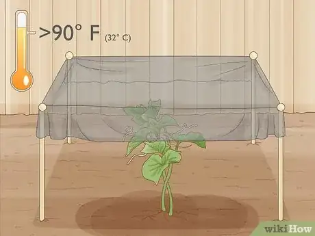 Image titled Grow Cucumbers Step 16