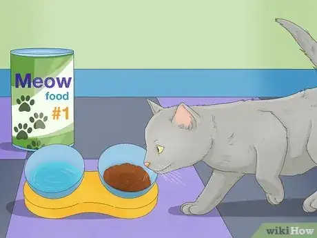 Image titled Earn a Kitten's Trust Step 13