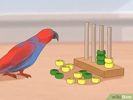 Image titled Play with a Large Parrot Step 10