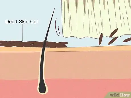 Image titled Dry Brush Your Skin Step 1