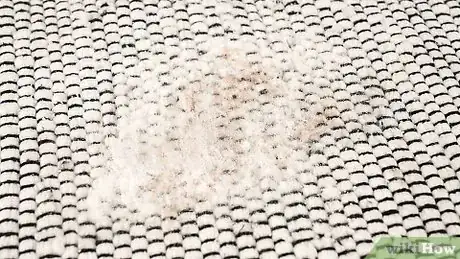 Image titled Dry Clean a Carpet at Home Step 4