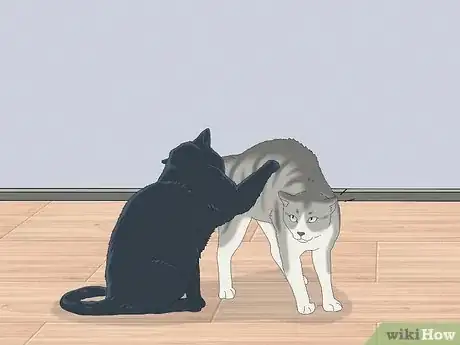 Image titled Get a Cat for a Pet Step 18