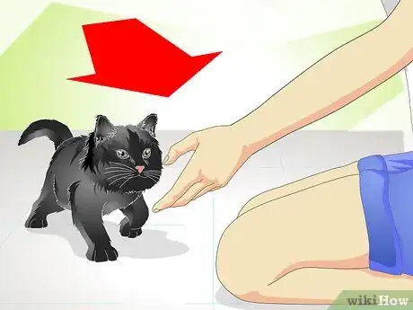 Image titled Help a New Kitten Become Familiar with Your Home Step 11