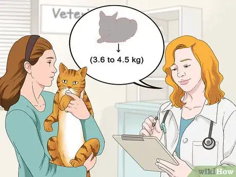 Image titled Assess Your Cat's Weight Step 7