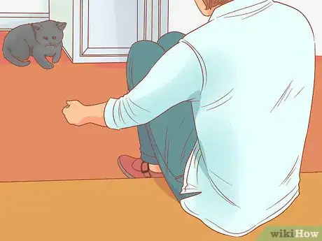 Image titled Encourage Your New Cat to Come Out of Hiding Step 2