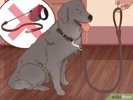Image titled Stop a Dog from Pulling on Its Leash Step 2