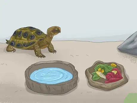 Image titled Make A Habitat for Hermann’s Tortoises Step 12