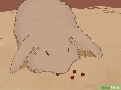 Image titled Feed Your Bunny Vitamins Step 10