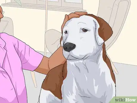 Image titled Nurse a Dog Through Parvo Step 13