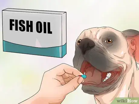 Image titled Use Fish Oil for Dogs Step 1
