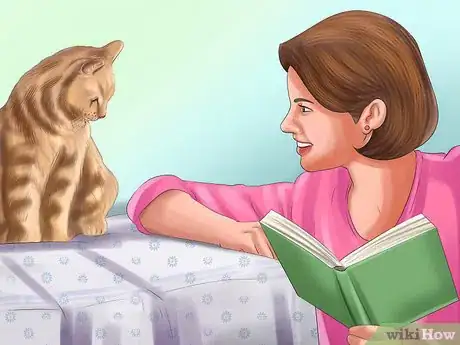 Image titled Understand the Cat's Meow Step 14