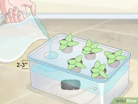 Image titled Start a Hydroponic Garden in Your Apartment Step 15