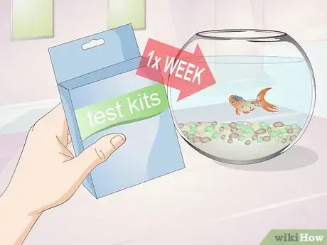 Image titled Keep a Goldfish Alive Step 1