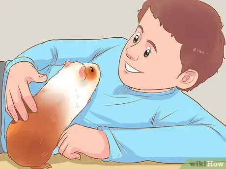 Image titled Bond With Your Guinea Pig Step 16