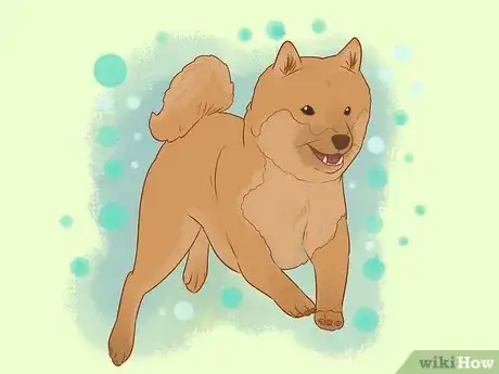 Image titled Stop a Dog from Jumping Up on Strangers Step 1