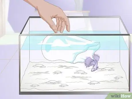 Image titled Acclimate Your Betta Step 8